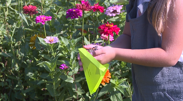 Screen Shot 2020 08 15 At 8.40.15 Pm