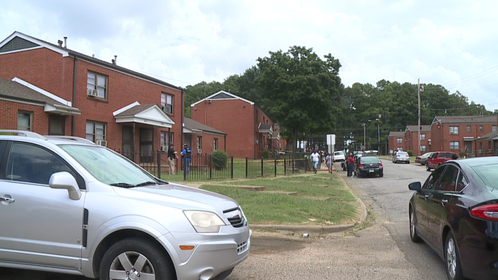 Screen Shot 2020 08 15 At 9.47.38 Am