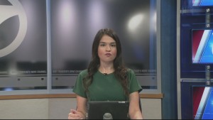 Beech Bluff Car Wreck