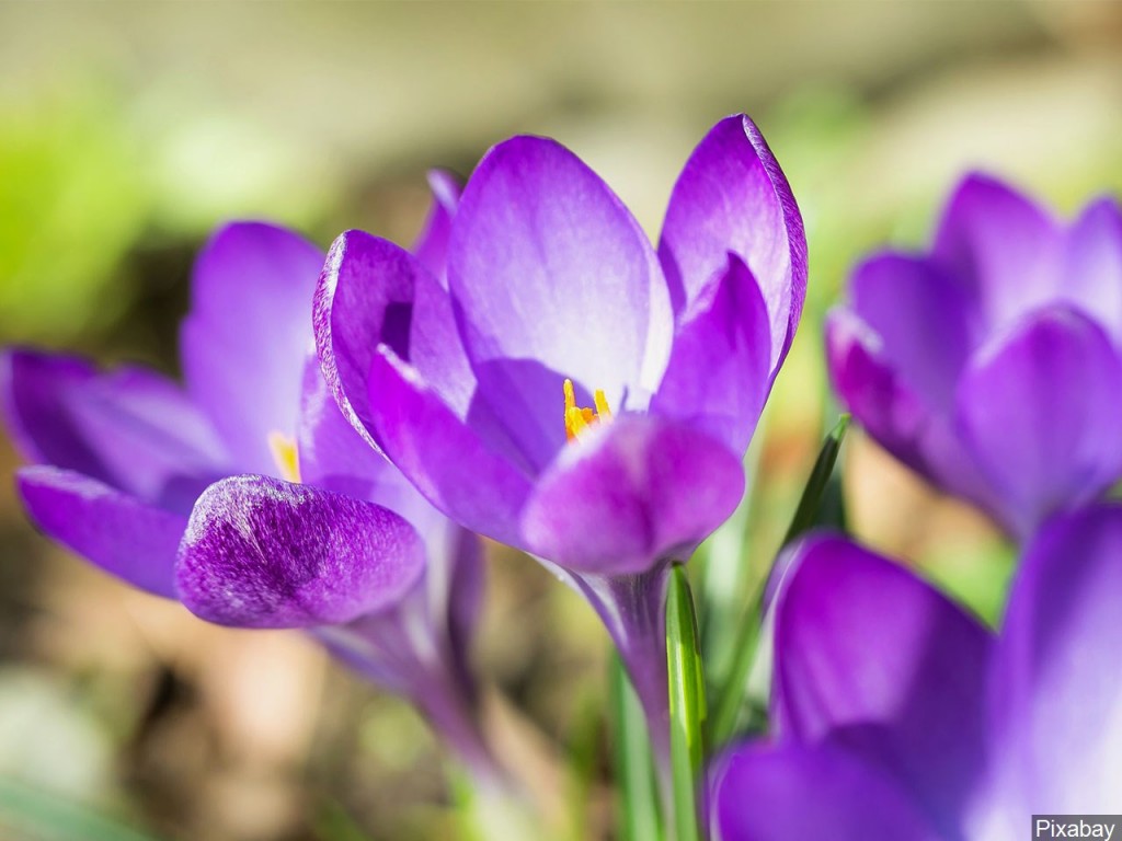 Mgn 1280x960 70320p00 Ufqnr