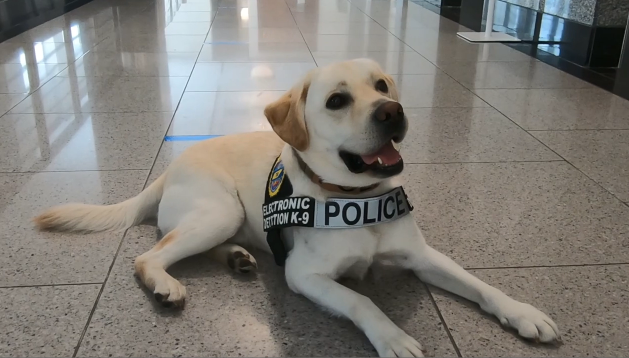 Screen Shot 2020 09 01 At 4.31.30 Pm