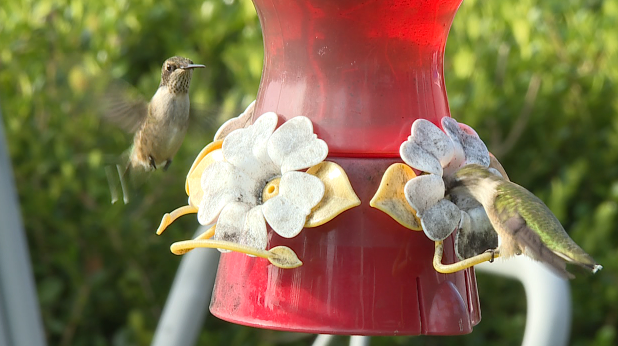 Screen Shot 2020 09 10 At 12.48.20 Pm