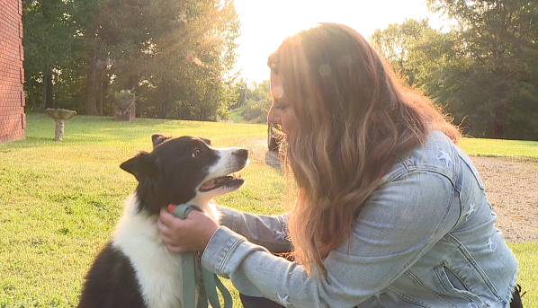 Screen Shot 2020 09 15 At 11.17.36 Am