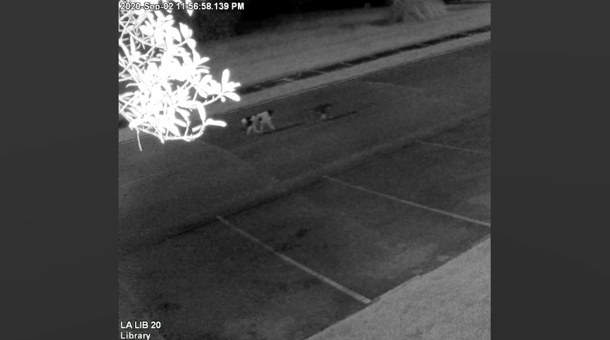 Screen Shot 2020 09 17 At 4.32.42 Pm