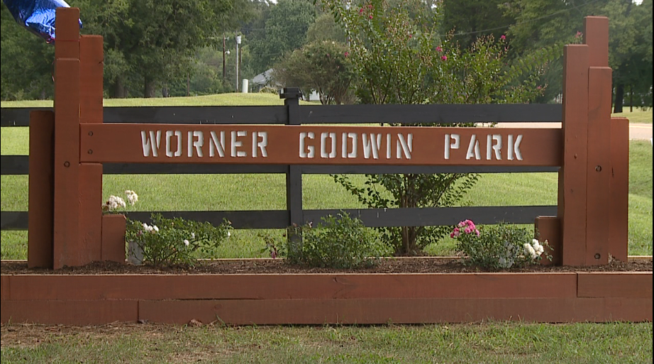 New public park opens in Madison County WBBJ TV