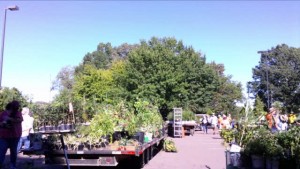 Fall Plant Sale