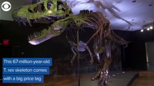 T Rex Bones Sold In Auction