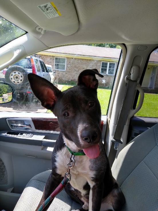 Huck