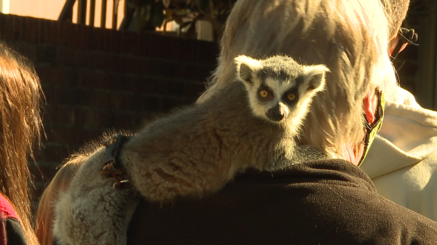 Screen Shot 2020 10 17 At 5.08.55 Pm