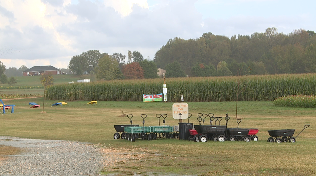 Screen Shot 2020 10 23 At 7.54.24 Pm