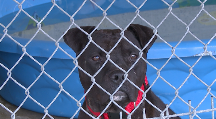 Screen Shot 2020 10 26 At 7.18.25 Pm