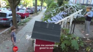 Halloween Candy Slide