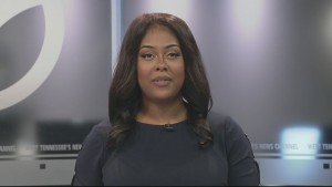 Englewood Thanksgiving Drive