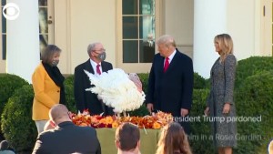 Turkey Pardon