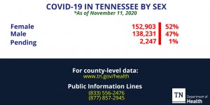 Nov. 11 Gender
