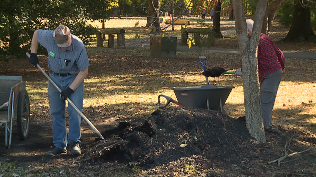 Screen Shot 2020 11 03 At 5.43.12 Pm