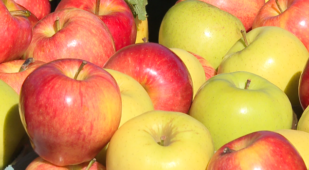 Screen Shot 2020 11 04 At 11.56.23 Am