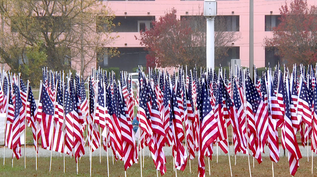 Screen Shot 2020 11 10 At 2.07.10 Pm