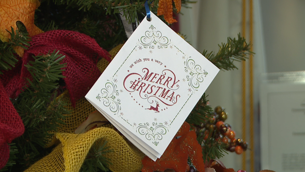 Screen Shot 2020 11 13 At 12.40.19 Pm