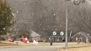 Ezgif.com Gif Maker (16)