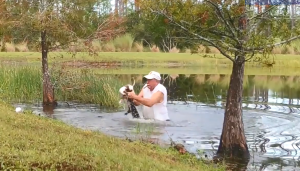 Florida Puppy Alligator