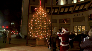 Jackson Christmas Tree