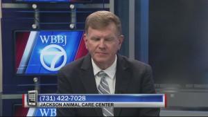 Dog Attack Folo 6pm Pkg