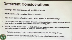 Asian Carp 5pm Vosot