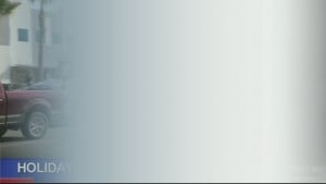 Hay For Rein Bow 6pm Pkg