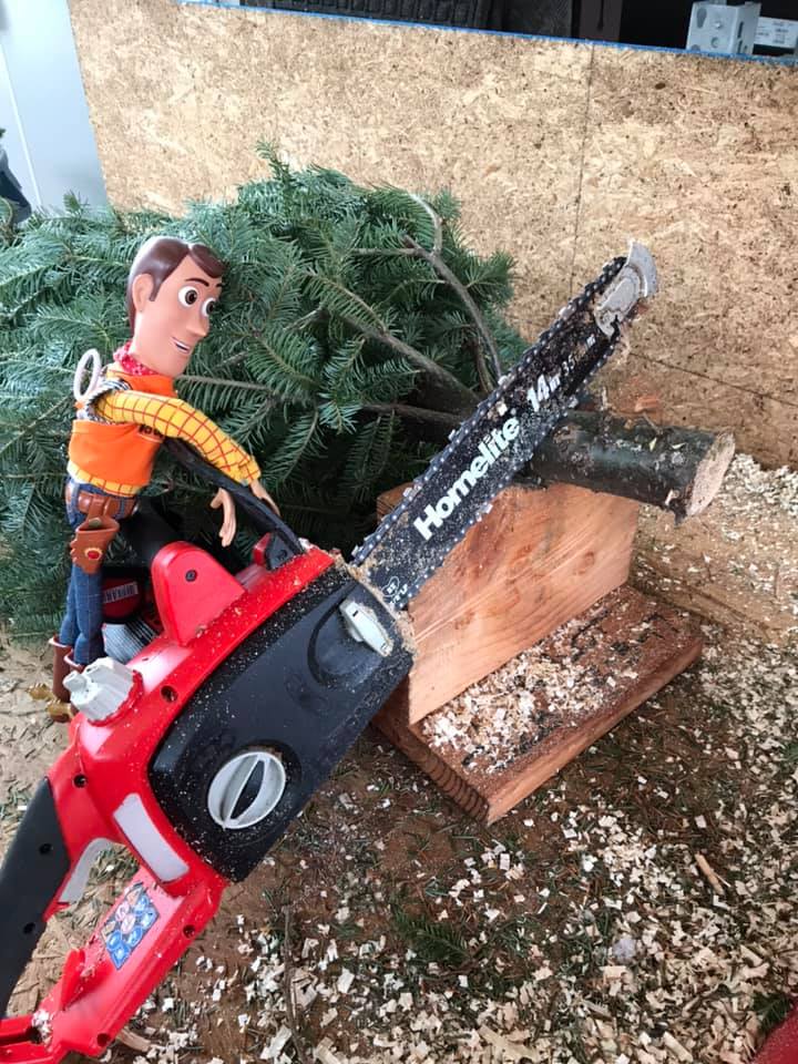 woody home depot