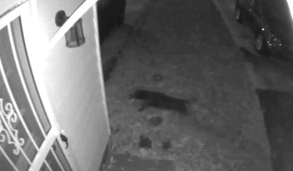 Screen Shot 2020 12 04 At 1.24.14 Pm