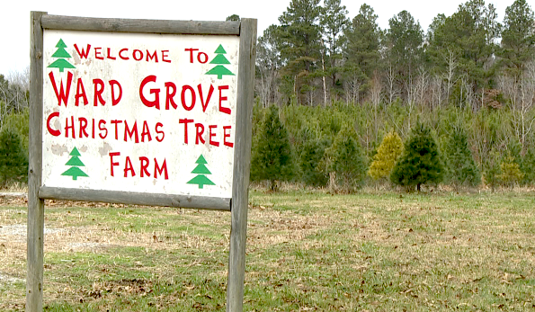 Screen Shot 2020 12 07 At 12.41.51 Pm