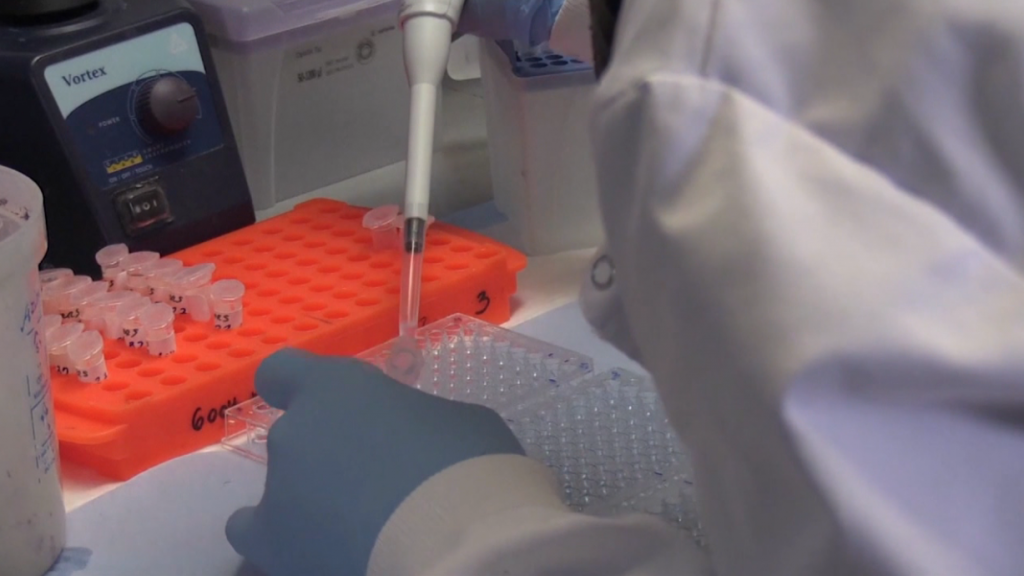 Screen Shot 2020 12 22 At 9.30.42 Pm