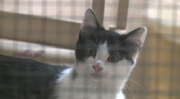 Screen Shot 2020 12 30 At 8.05.44 Pm