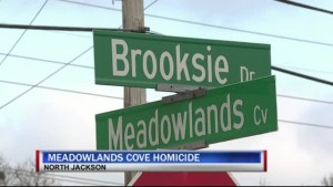 Meadowlands Cove Homicide 6pm Pkg