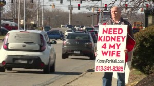 Kidney Husband