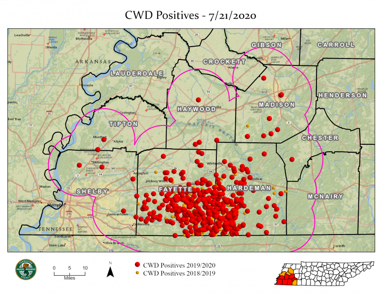 TWRA discusses permit requirements for landowners in Unit CWD WBBJ TV
