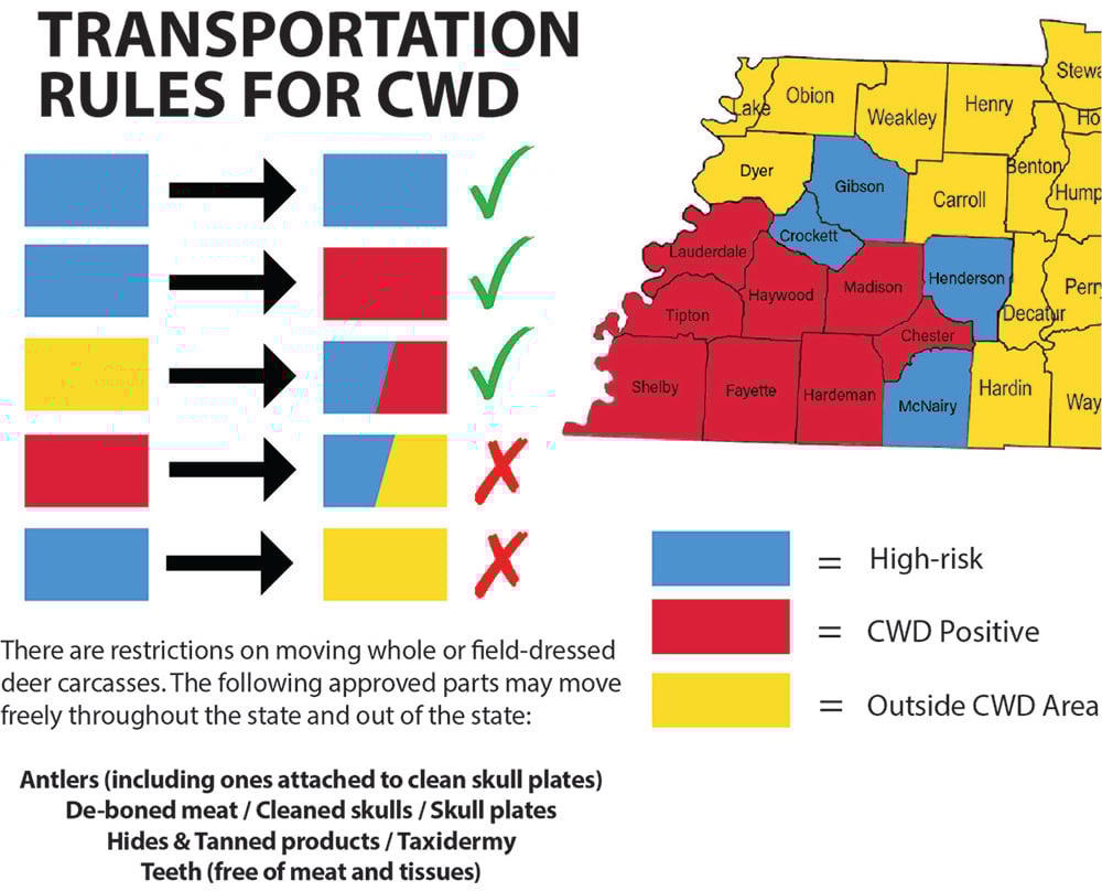 Cwd Transport Graphic 7