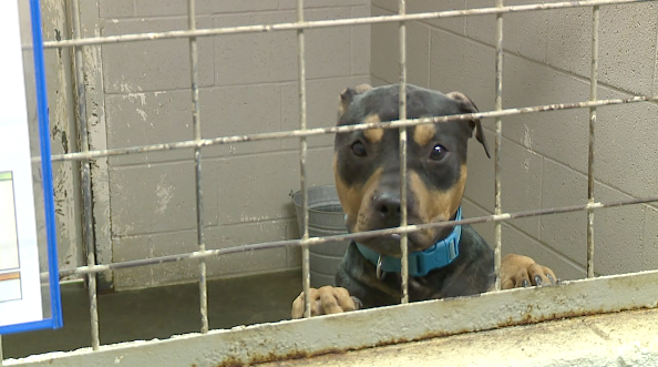 Screen Shot 2021 01 12 At 10.07.44 Pm