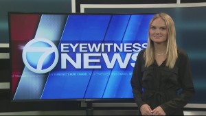 Post Holiday Pet Surrenders 10pm Pkg