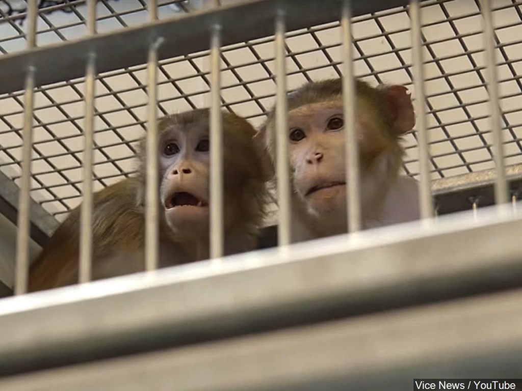 Mgn 1280x960 60826p00 Ogauf