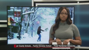 Business Plowing 10pm Pkg