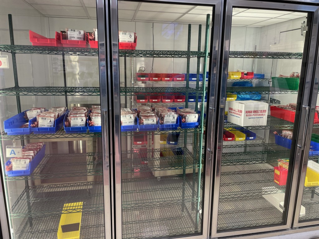 Lifeline Shelves 2 21