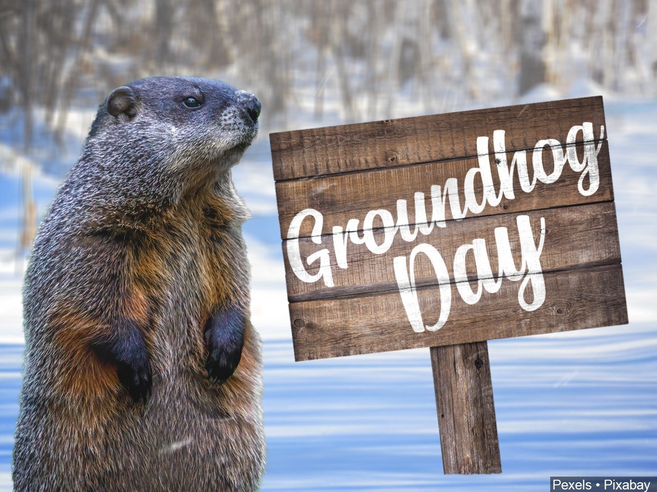 Red Sox Monday Morning Brushback: Groundhog Week - Over the Monster