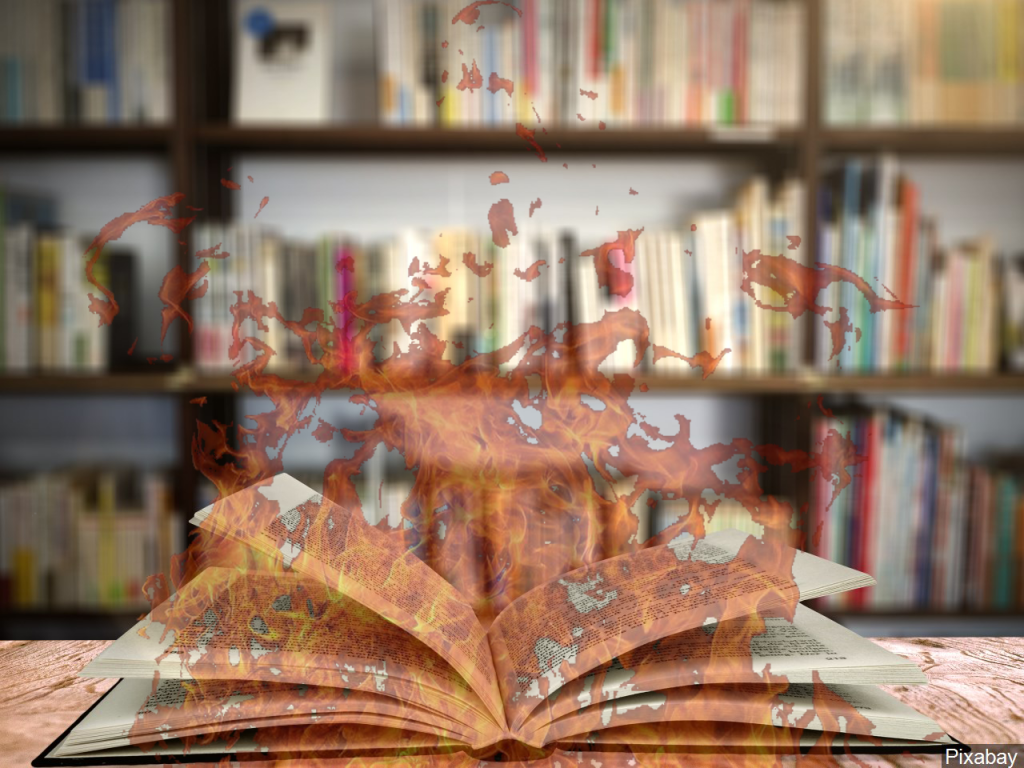 Mgn 1280x960 80810b00 Udvmf Copy