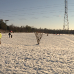 People Playing In Snow