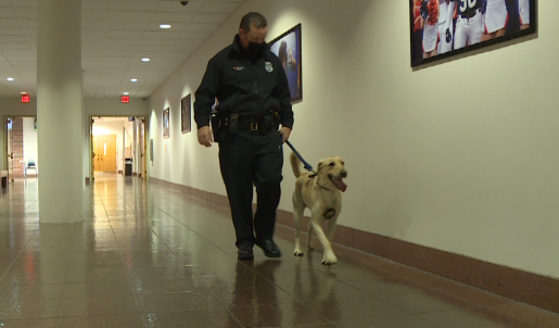 Screen Shot 2021 02 09 At 124843 Pm