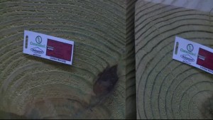 Lumber Prices 5pm Pkg