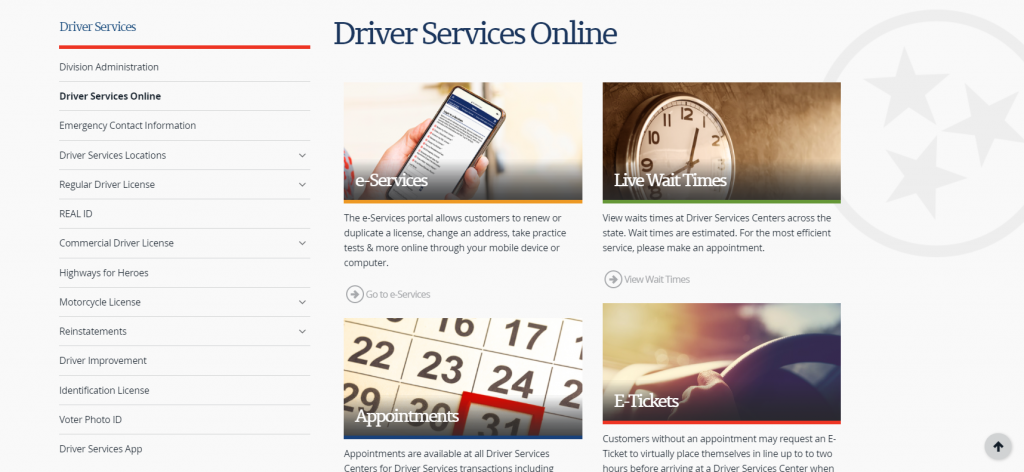 Driver Services Online