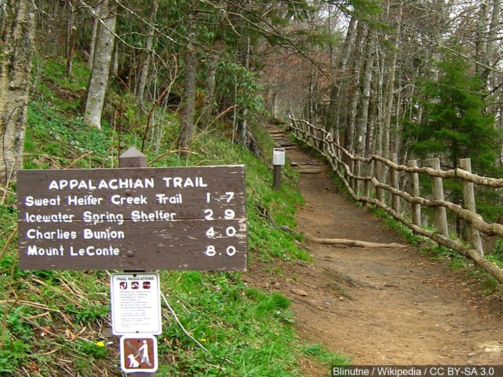 Mgn 1280x960 60624p00 Caqhx